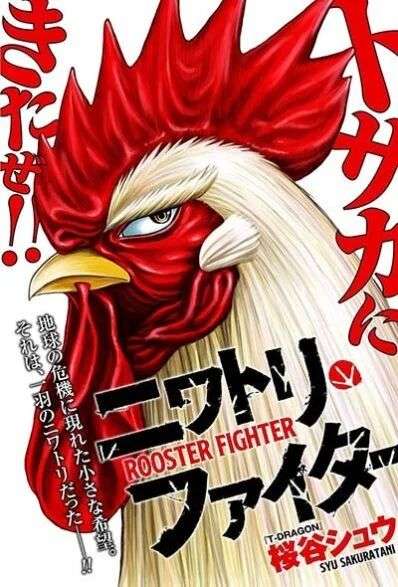 Rooster Fighter